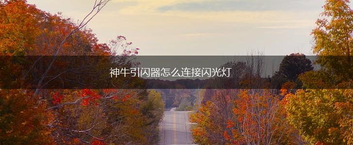 神牛引闪器怎么连接闪光灯,第1张