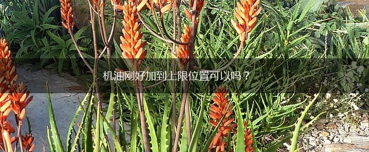 机油刚好加到上限位置可以吗？,第1张