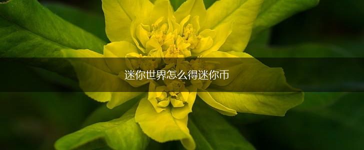 迷你世界怎么得迷你币,第1张