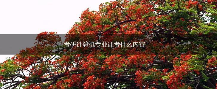 考研计算机专业课考什么内容,第1张