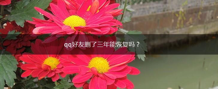 qq好友删了三年能恢复吗？,第1张
