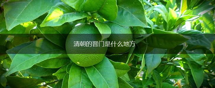 清朝的晋门是什么地方,第1张