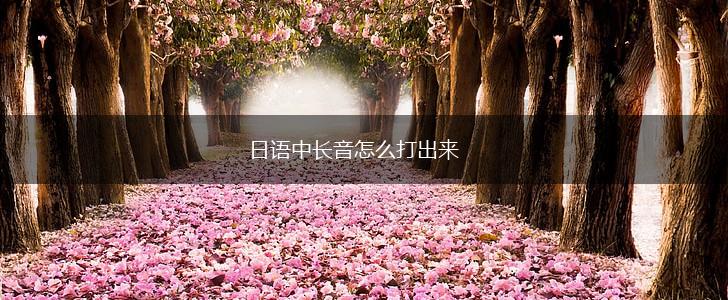日语中长音怎么打出来,第1张