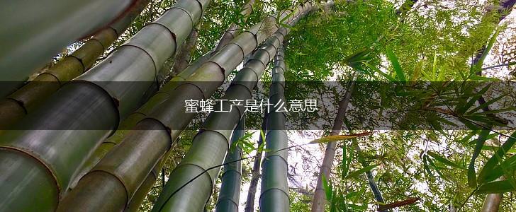 蜜蜂工产是什么意思,第1张