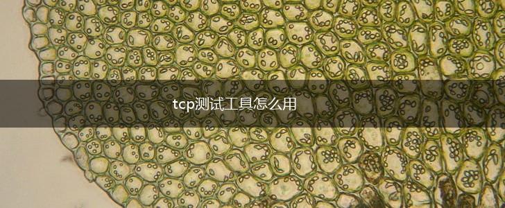 tcp测试工具怎么用,第1张