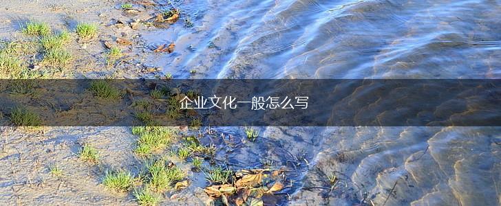 企业文化一般怎么写,第1张
