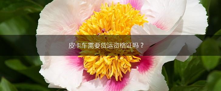 皮卡车需要货运资格证吗？,第1张