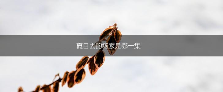 夏目去的场家是哪一集,第1张