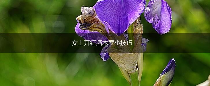 女士开红酒木塞小技巧,第1张