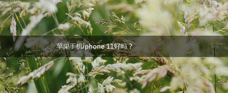 苹果手机iphone 11好吗？,第1张