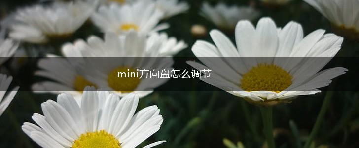 mini方向盘怎么调节,第1张