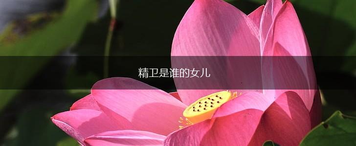 精卫是谁的女儿,第1张