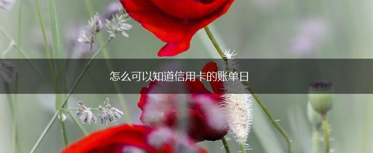 怎么可以知道信用卡的账单日,第1张