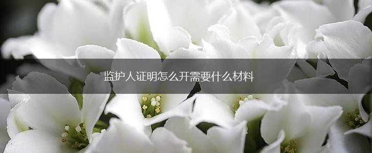 监护人证明怎么开需要什么材料,第1张