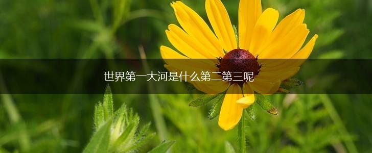 世界第一大河是什么第二第三呢,第1张