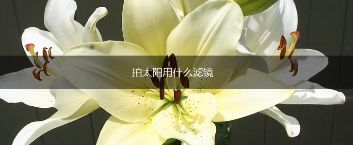 拍太阳用什么滤镜,第1张