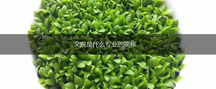 文院是什么专业的简称,第1张