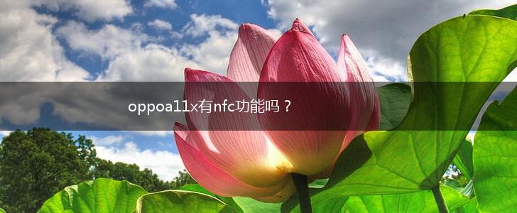 oppoa11x有nfc功能吗？,第1张