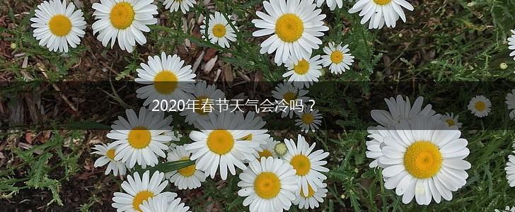 2020年春节天气会冷吗？,第1张