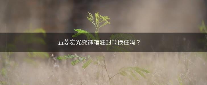 五菱宏光变速箱油封能换住吗？,第1张