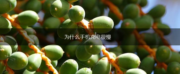 为什么手机充电很慢,第1张