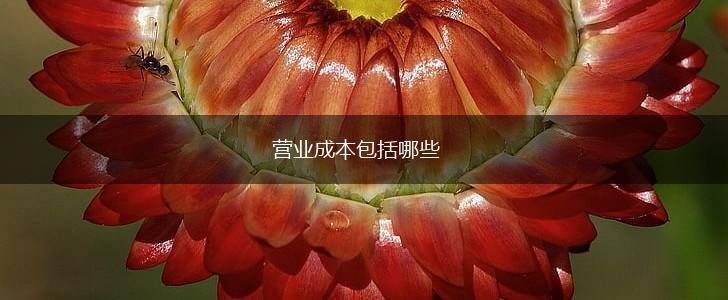 营业成本包括哪些,第1张