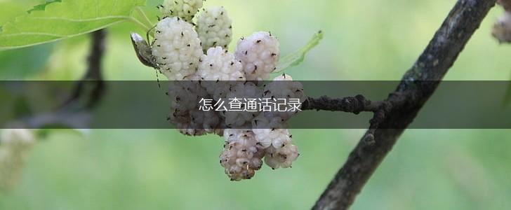 怎么查通话记录,第1张