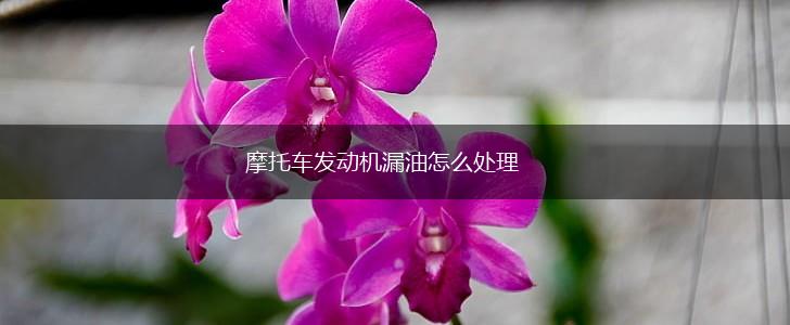 摩托车发动机漏油怎么处理,第1张