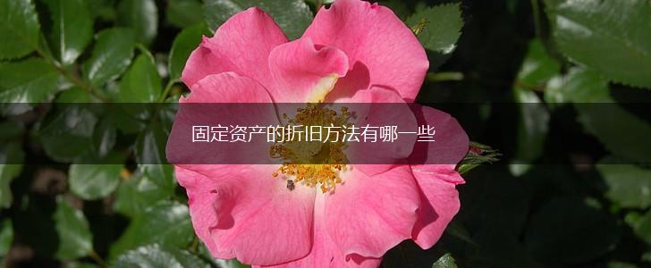 固定资产的折旧方法有哪一些,第1张
