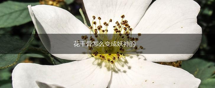 花千骨怎么变成妖神的,第1张