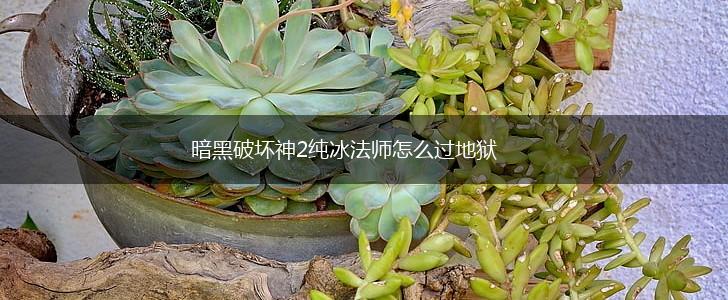 暗黑破坏神2纯冰法师怎么过地狱,第1张