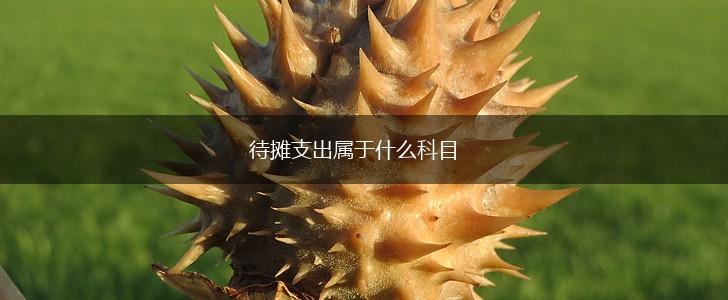 待摊支出属于什么科目,第1张