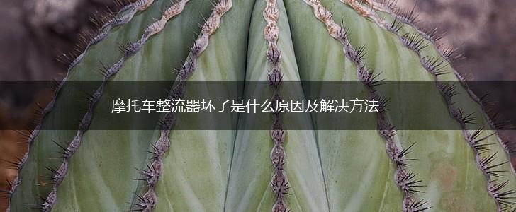 摩托车整流器坏了是什么原因及解决方法,第1张