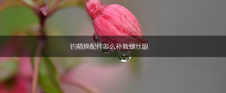 钓箱换配件怎么补救螺丝眼,第1张
