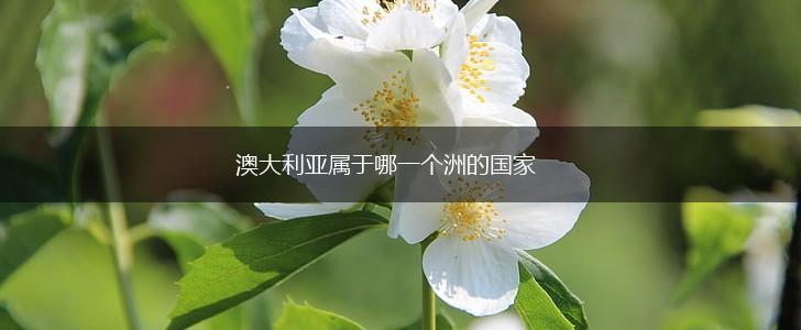 澳大利亚属于哪一个洲的国家,第1张