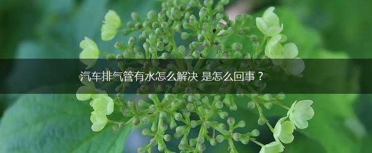 汽车排气管有水怎么解决 是怎么回事？,第1张