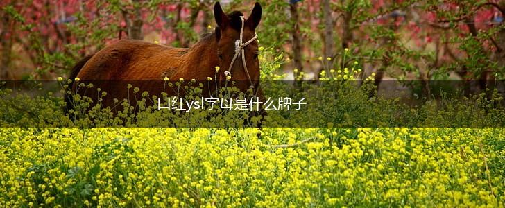 口红ysl字母是什么牌子,第1张