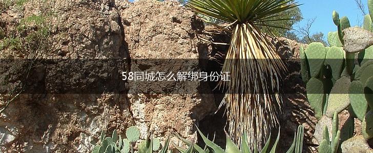 58同城怎么解绑身份证,第1张
