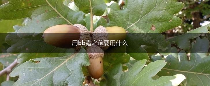 用bb霜之前要用什么,第1张