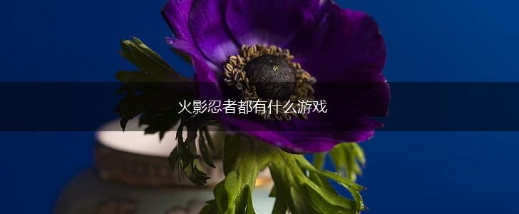 火影忍者都有什么游戏,第1张