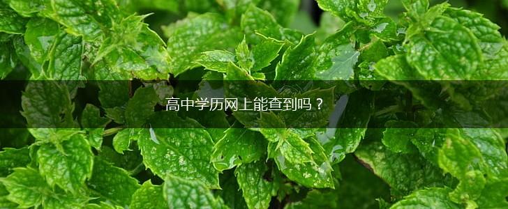 高中学历网上能查到吗？,第1张