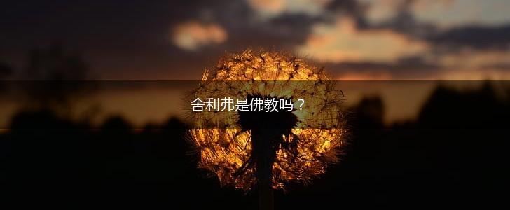 舍利弗是佛教吗？,第1张