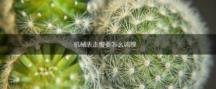 机械表走慢要怎么调理,第1张 机械表走慢要怎么调理,第1张