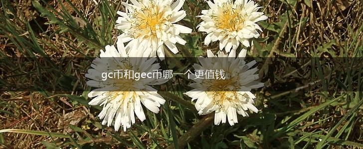 gc币和gec币哪一个更值钱,第1张