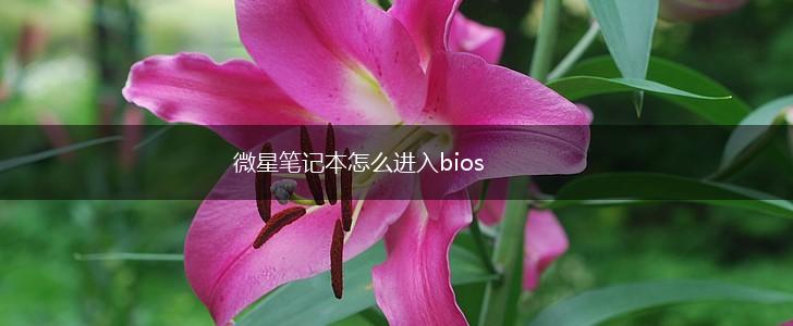 微星笔记本怎么进入bios,第1张