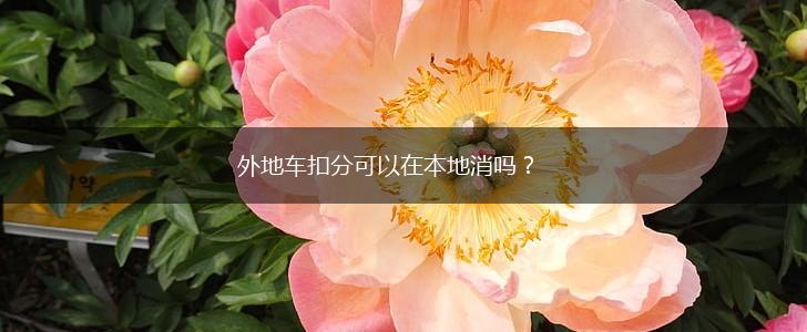 外地车扣分可以在本地消吗？,第1张