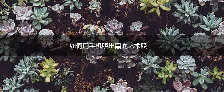 如何用手机照出黑底艺术照,第1张