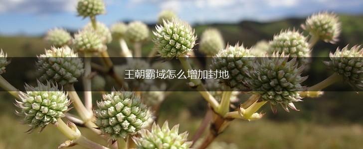王朝霸域怎么增加封地,第1张