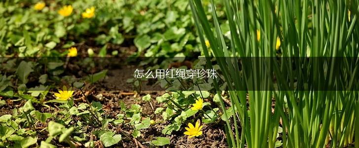 怎么用红绳穿珍珠,第1张