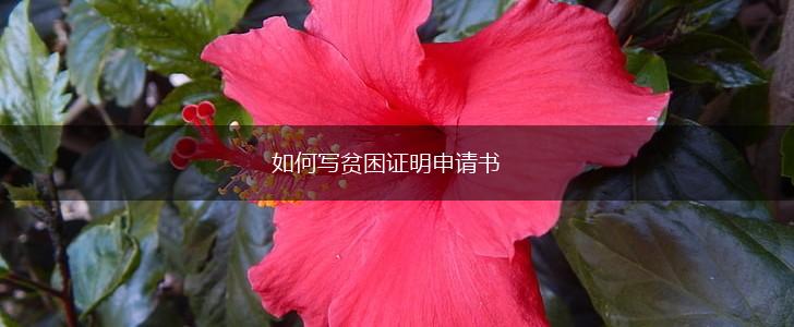 如何写贫困证明申请书,第1张